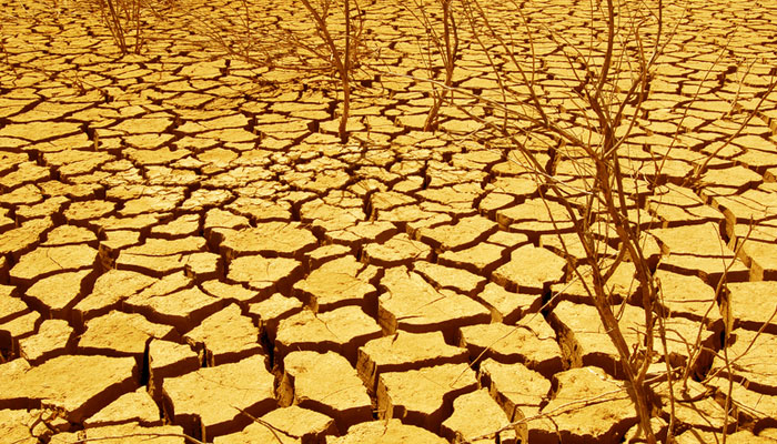 dry-cracked-ground-in-desert-web.jpg